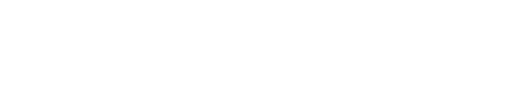 Riskflow Logo